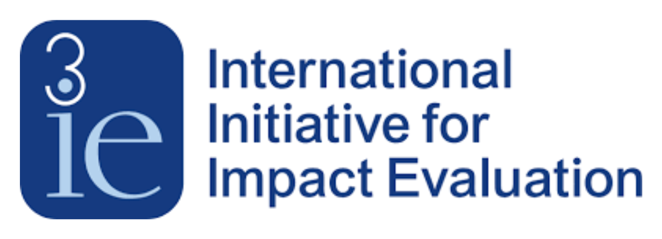 3ie logo